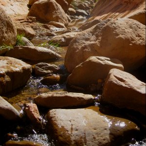 Fifty Mile Canyon Stream Bed 9-22-09