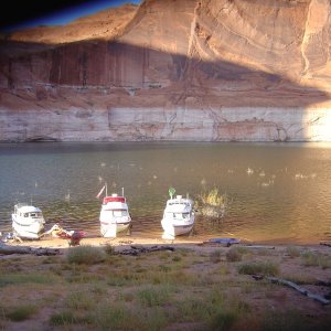 more C-Dories resting