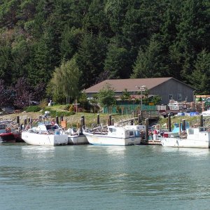 (Pat Anderson) Swinomish Fishing Fleet