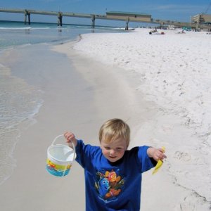 chasing sea gulls on the 
white beaches of Destin FL.