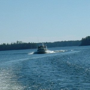 Cruising Lake Martin