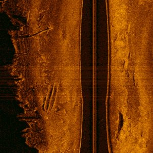 Pamunkey River sidescan - wrecks visible to port and starboard; shoreline visible to port.