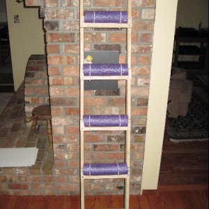 Boarding Ladder