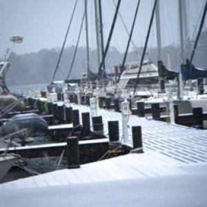 Christmas 2010 Snow Point Marina