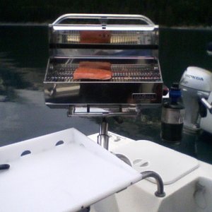 Salmon filet on new BBQ