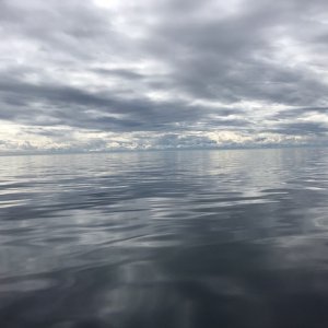 Haro Strait