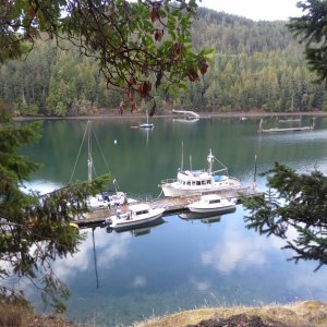 Reid Harbor dock Sunday morning