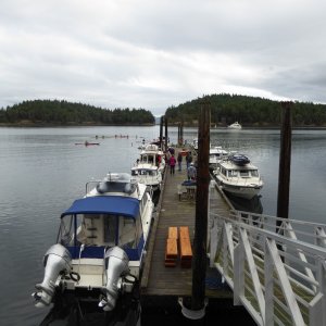 Prevost Harbor dock Sunday morning