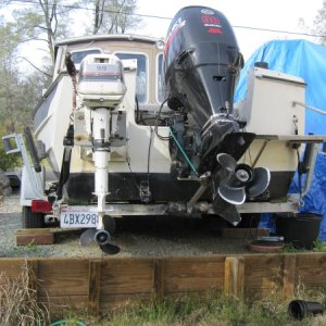 Media '2011' in album '20 gal saddle tank STB'