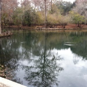 Springs everywhere.