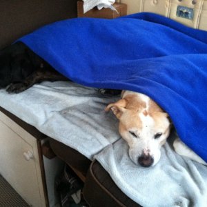 Nap time.