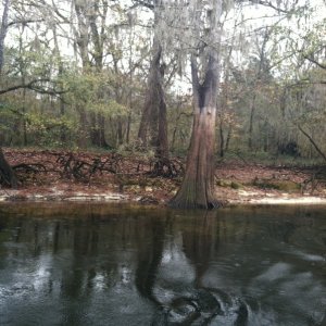 Check out the high water mark. Would not like to be on this river when she\'s running at flood stage.