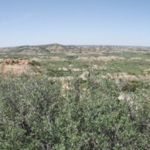 Theodore Roosevelt National Park, ND. Painted Canyons rest area.