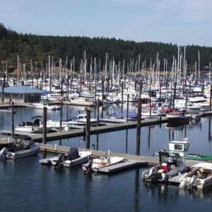 Port of Friday Harbor