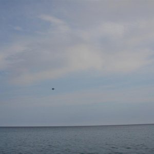 6 (81)