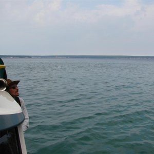 6 (114)