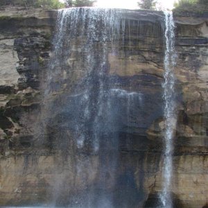 6 (321)