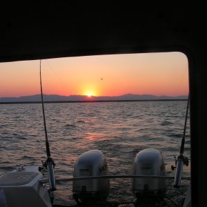 Media 'Sunset @ Willard Bay Utah... also caught the state bird heading home to bed...' in album 'Topkick @ Willard Bay, Utah'