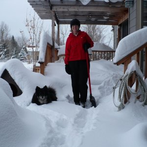 Bozeman
