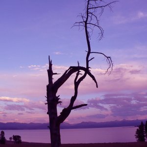 Yellowstone Sunset