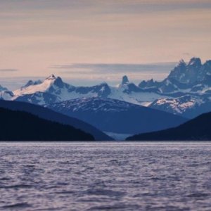 Media 'Bear Claw behind Taku Glacier' in album 'Evening cruise to Taku Inlet'