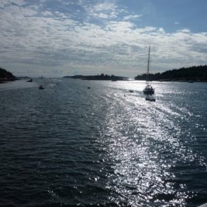 P1010608