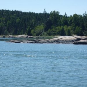 about two more feet to go of the ten foot high tide