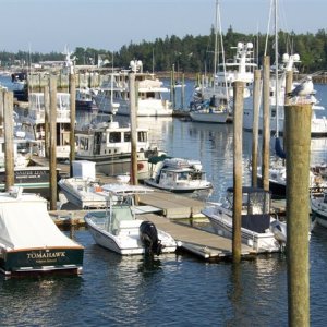 Three C-Dories in the Great Harbor Marina, Southwest Harbor, Mount Desert Island.