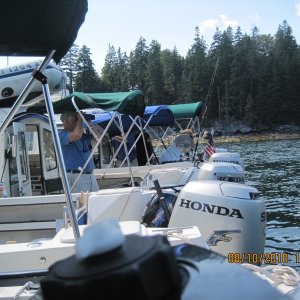 Stop in Dogfish Cove, Bartlett Island