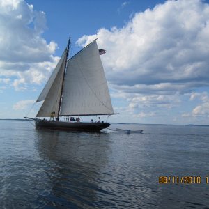 Yet another Windjammer. They were everywhere.