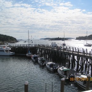 Billings Marina lineup