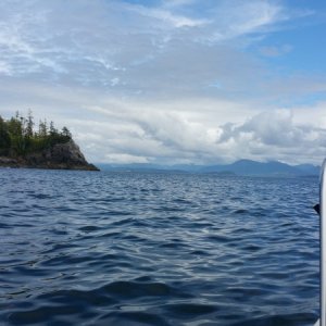 Near Effingham island