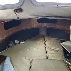 moldy vberth