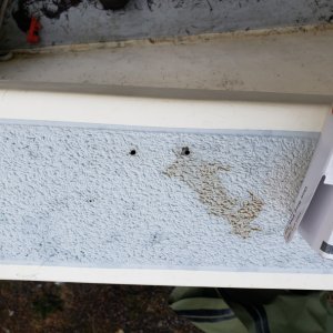 random holes