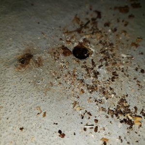 rear sole test holes