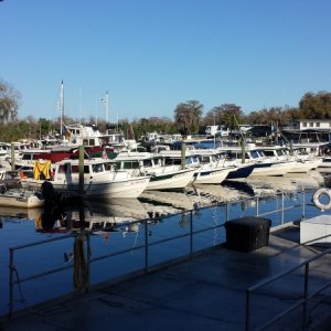 St. John's River Gathering, dock at Hontoon Island State Park 2016
