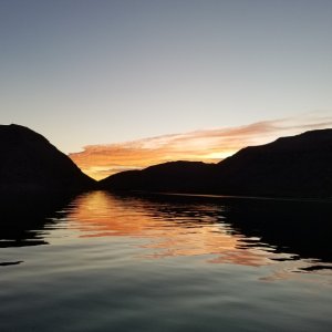 Cardonal dawn reflections