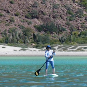 Dana paddeling in el Cardonal with a forest of Cardon cactus in the background behind the beach.