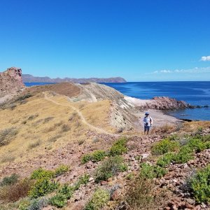 Dana and I had a nice hike along the ridge on Isla San Francisco.