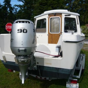 14 years sitting project makes it home