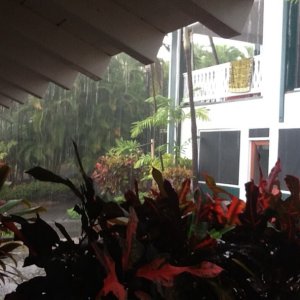 Rainy day