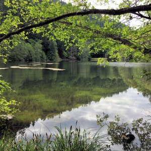 Media 'Continuing south to Lime Kiln park, theres a little lake on the east side of the road, with hiking trails.' in album 'Departing the marina after work Thursday night to head to the FHCBGT. Brought the bike to try and explore the island.'