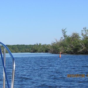 IMG 5196 Turning off of Rice Lake and on to the Otonabee River. Looked like the Everglades a little.