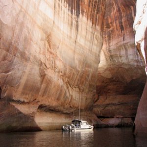 Discovery in the Cathedral In The Desert