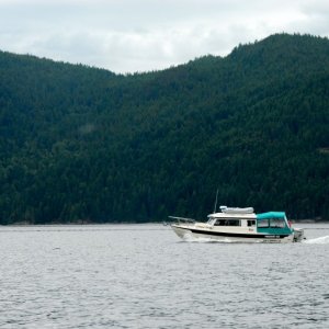 Media 'Frequent Sea leaving Princess Louisa Inlet' in album 'Nanaimo from Newcastle Island'