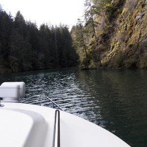 Steep canyon walls and lots of moss in the trees.