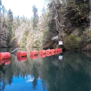 The lake ends where the current from the Lake Cushman dam gets stronger.  I think a CD 16 can get through.