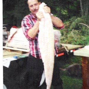 Media 'halibut fillet' in album 'C-Lou with 150 lbs. of halibut.'