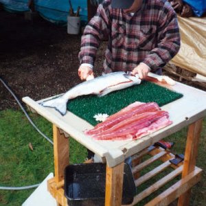 The Fish Cleaner