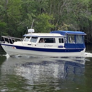 C Otter